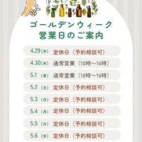 画像254