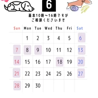 画像297
