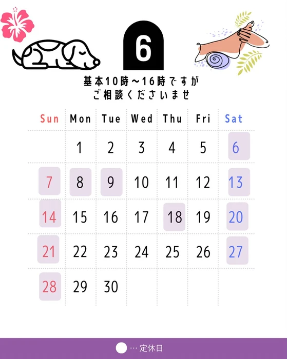 画像297