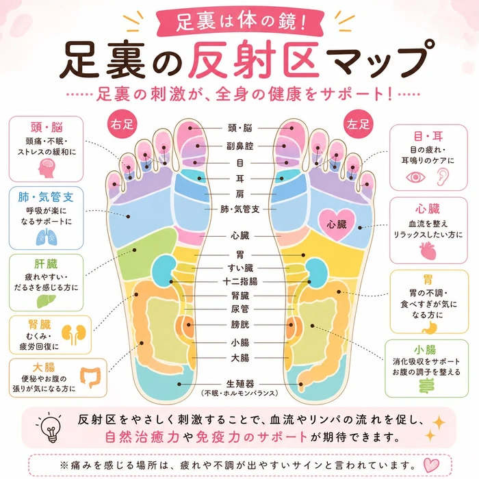 画像310